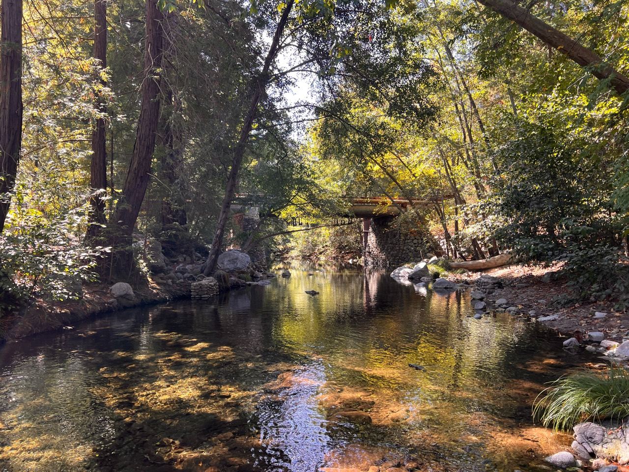 Eliot Fisher’s photograph of a footbridge over a forest creek